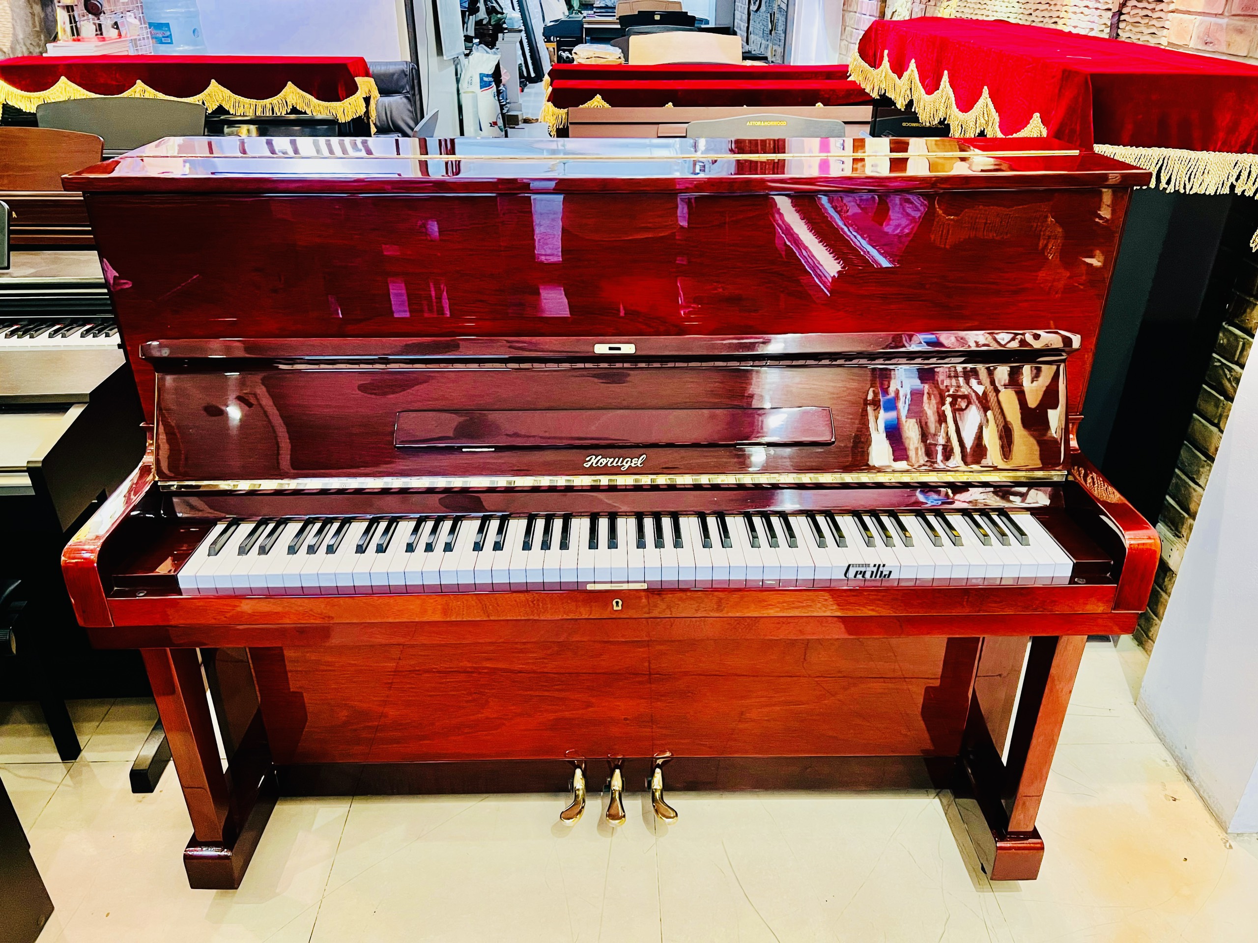 z3422312808184_d98e36e133415e5eaae25bc34bbe2750