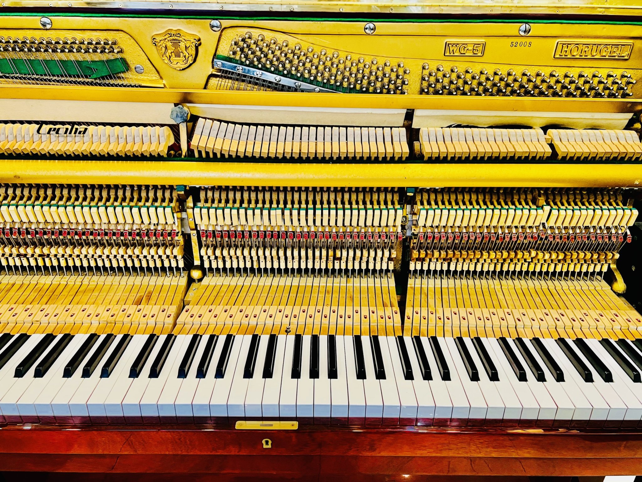 z3422312817042_6a092e1cb2c8cdf99012ad162d96119e