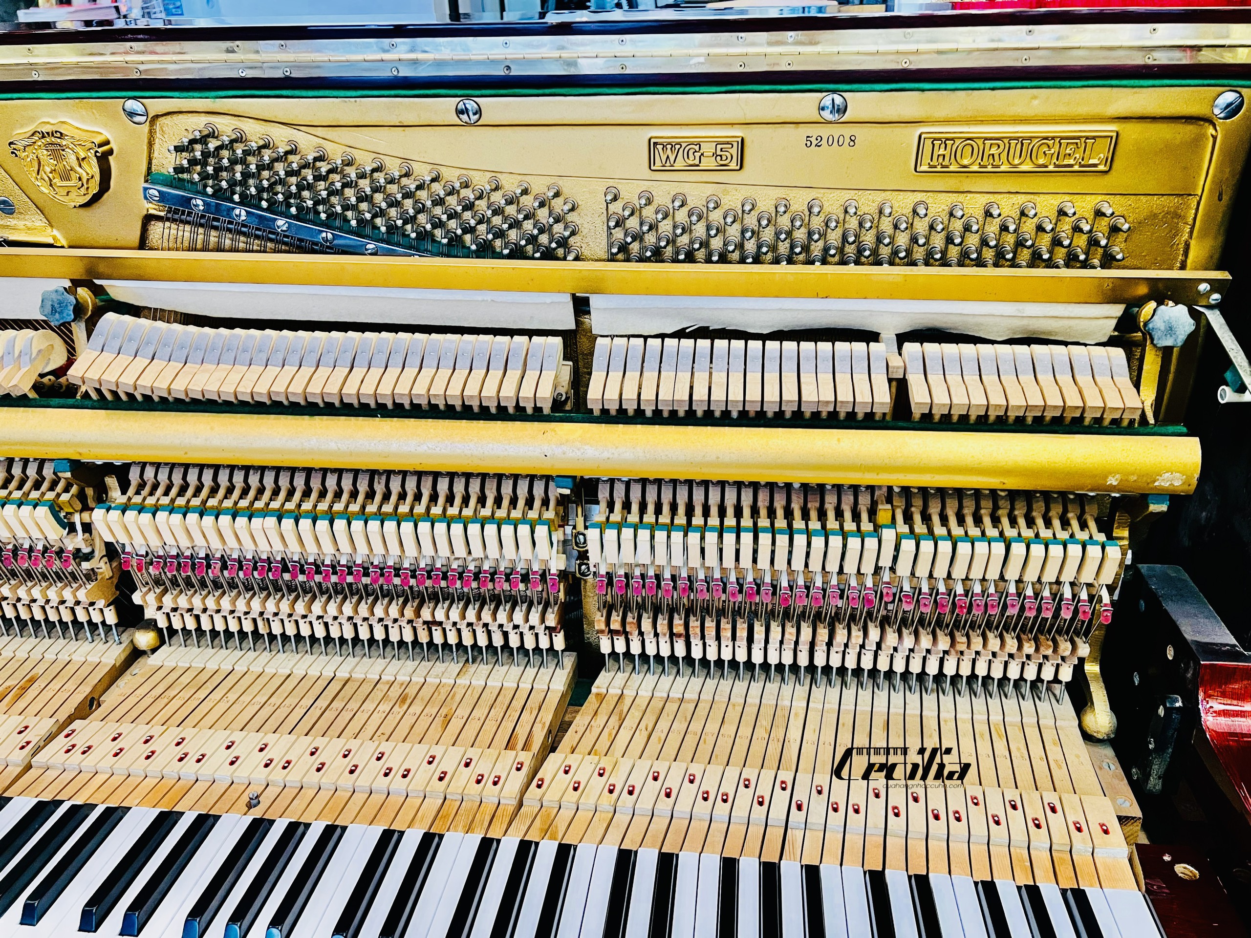 z3422312818779_2a2cd9d7e4837c0142b2dd6c06d639fb