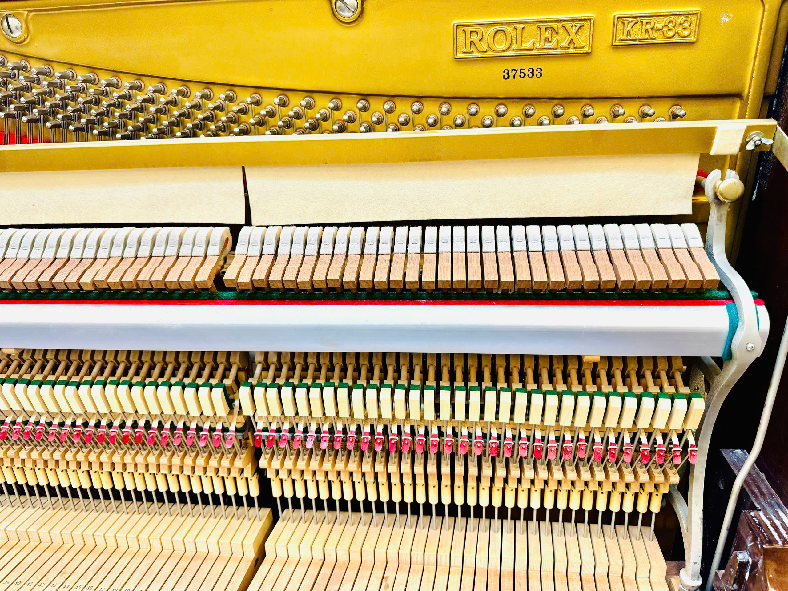 z6204716416125_e45595f5de38b584b6d233c570f8b5c1